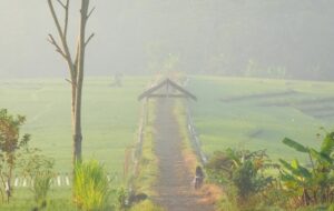 5 Hal Aneh yang Bikin Kulon Progo Jadi Paling Beda dari Kabupaten Lain di Jogja