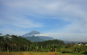 Magelang, Kota Sejuta Bunga yang Bikin Saya Bahagia dan Susah Move On