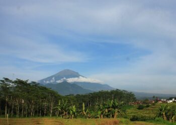 Magelang, Kota Sejuta Bunga yang Bikin Saya Bahagia dan Susah Move On