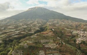 5 Ide Bisnis yang Sangat Cocok Dikembangkan di Temanggung