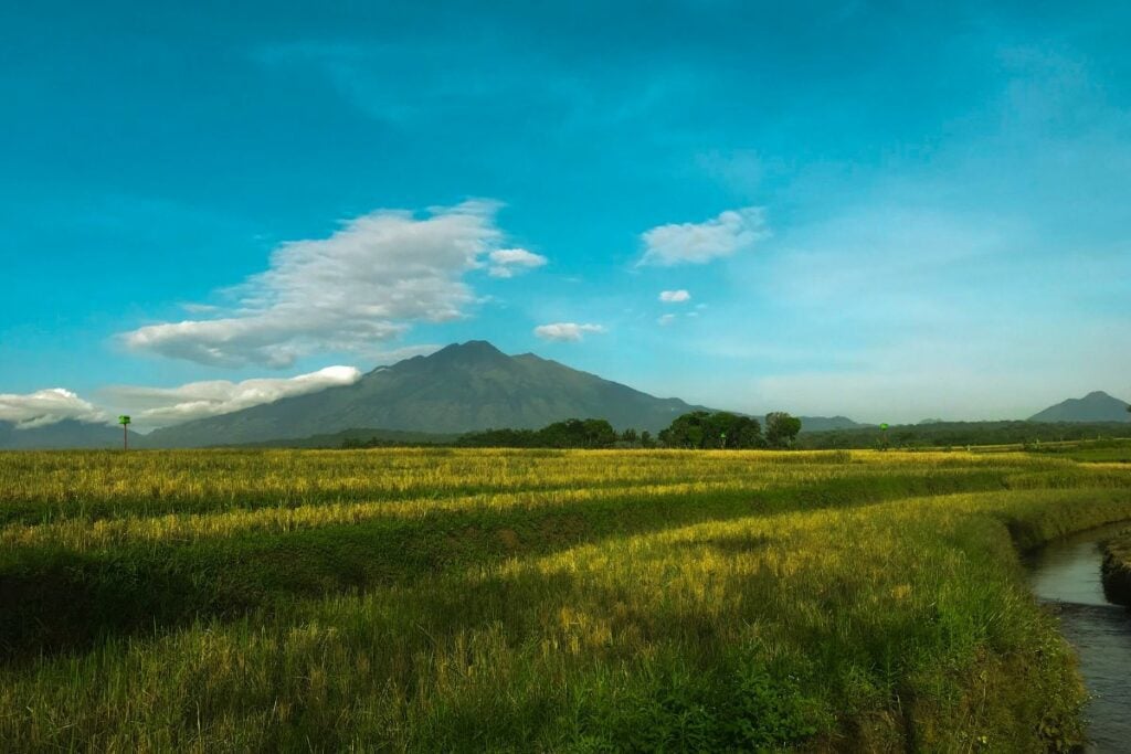 Kemawi, Desa Indah di Kecamatan Sumowono Semarang yang Bikin Orang Demak Betah Tinggal di Sana