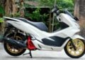 Honda PCX dan Yamaha Aerox Menyiksa Kamu yang Nggak Layak (HariPrasetyo:Shutterstock.com)
