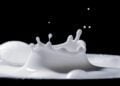 Alergi Makanan Bukan Masalah Sepele, Pebisnis Kuliner Harus Mulai Paham Isu Gawat Ini! rekomendasi susu alfamart