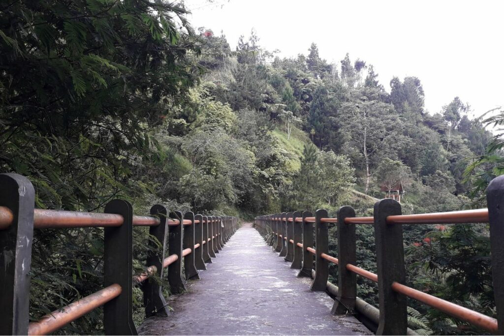 Jembatan Gantung Pasar Minggu, Jalan Pintas Penghubung Jakarta Timur dan Jakarta Selatan yang Menyimpan Bahaya