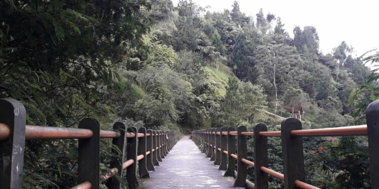 Jembatan Gantung Pasar Minggu, Jalan Pintas Penghubung Jakarta Timur dan Jakarta Selatan yang Menyimpan Bahaya