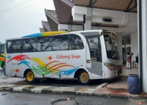 3 Dosa Sopir Bus Cebong Jaya: Membahayakan Pengendara dan Membuat Saya Trauma