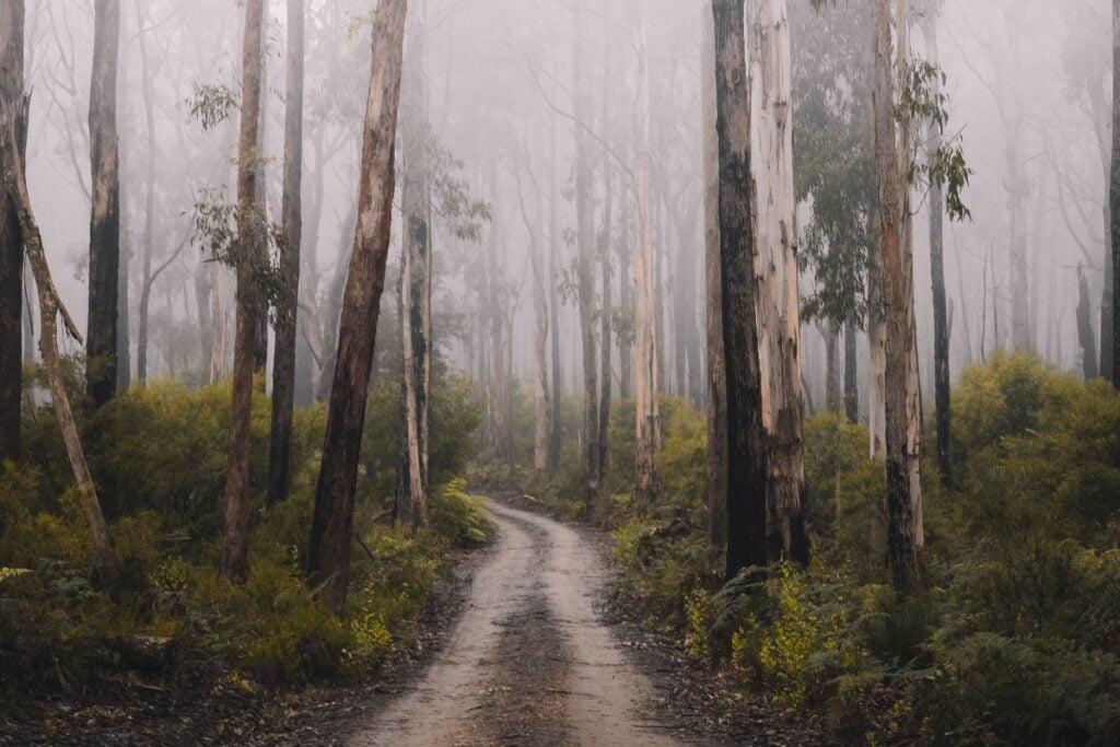 Kediri Mencekam di Kala Malam Teror Pembacokan Meresahkan! (Unsplash)