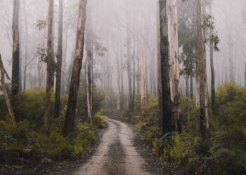 Kediri Mencekam di Kala Malam Teror Pembacokan Meresahkan! (Unsplash)