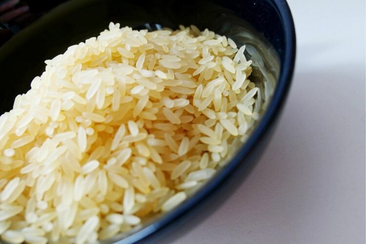 Rice Cooker Miyako, Juru Selamat Anak Kos di Seluruh Penjuru Indonesia