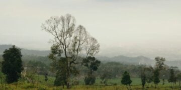 Banyumas Layak Menjadi Tujuan Utama Study Tour Menggantikan Jogja