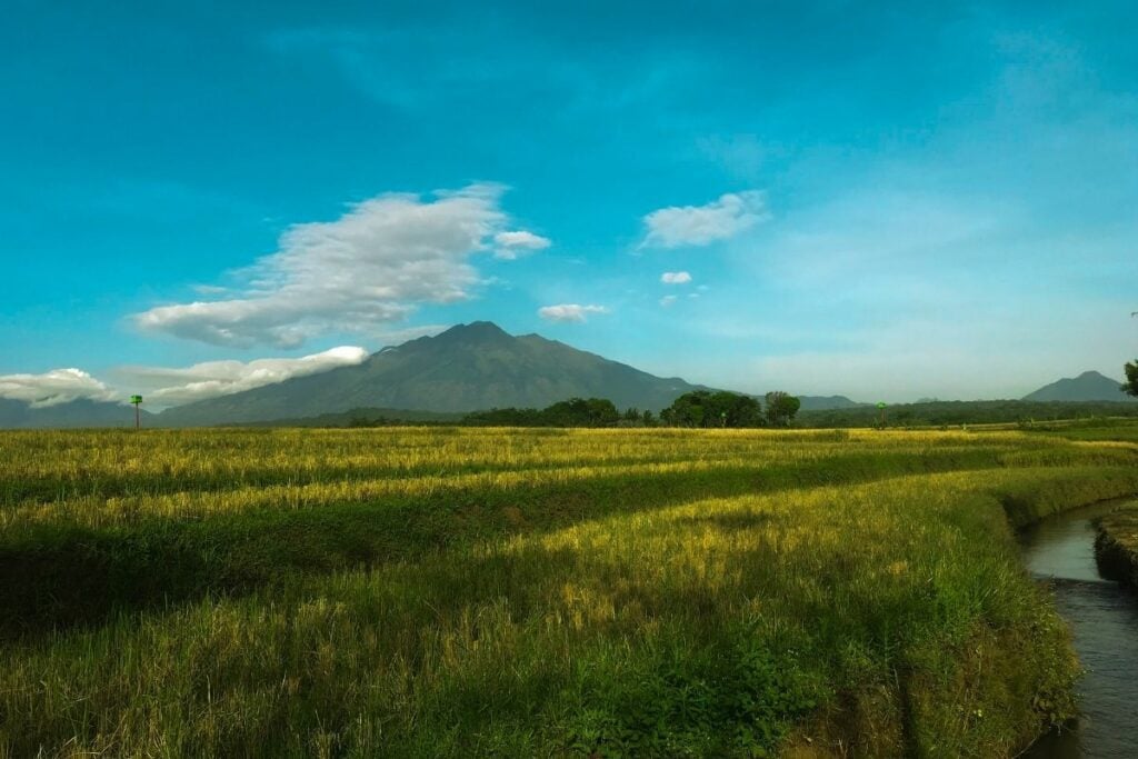 Menjadi Warga Kabupaten Semarang Nggak Mudah, Hanya Orang Tangguh yang Sanggup Tinggal di Sana