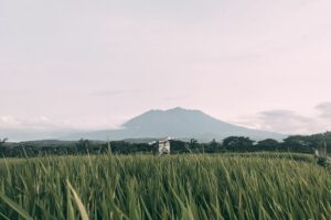 Sragen, Kota yang Hidup Cuma Sampai Maghrib, Setelah Itu, Seakan Jadi Kota Mati
