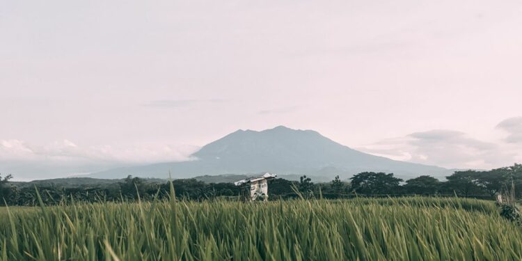 Keresahan Saya Selama Tinggal di Kecamatan Gemolong Kabupaten Sragen