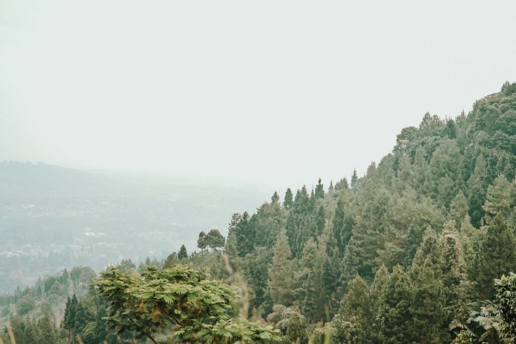 Kabupaten Bogor yang Membuat Salah Paham Orang Kudus (Unsplash)