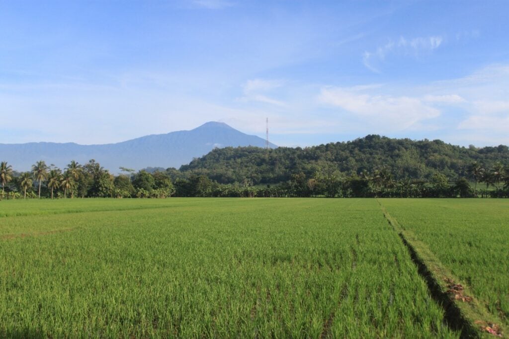 Kisah 6 Perempuan Menaklukkan Gunung Slamet (Unsplash)