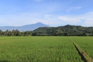 Kisah 6 Perempuan Menaklukkan Gunung Slamet