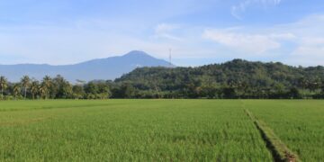 Kisah 6 Perempuan Menaklukkan Gunung Slamet (Unsplash)