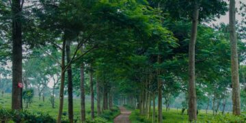 Kampung Promasan di Kaki Gunung Ungaran, Cocok untuk Kaum Mager yang Ingin Camping Mojok.co