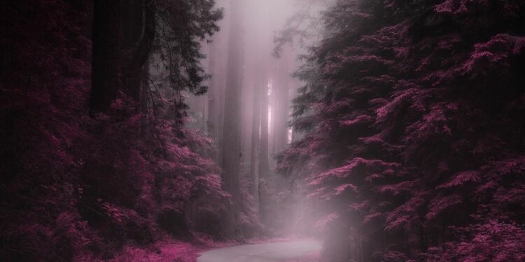 7 Jalur Paling Berbahaya bagi Orang Batu dan Malang, Pengendara Noob Minggir Dulu