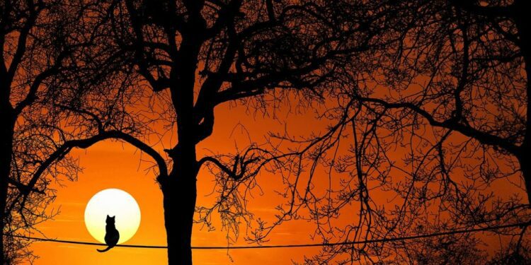 Hanya Karena Rumah Saya Dekat Pabrik Gudang Garam, Bukan Berarti Harga Gudang Garam Surya Jadi Lebih Murah, Lur! jawa timur