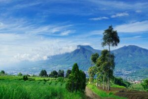 Gunung Arjuno Panas, Pertanda bahwa Perubahan Iklim Itu Nyata, Bukan Konspirasi!