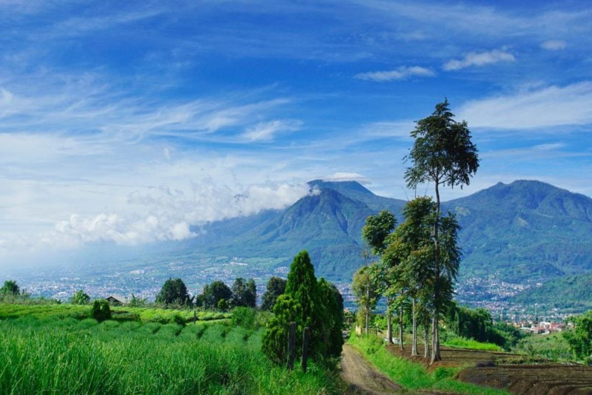 Gunung Arjuno Dan Mitosnya Yang Saya Patahkan