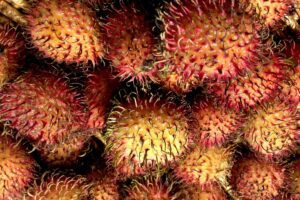 Menanam Pohon Rambutan, Cara Warga Kabupaten Kediri Merawat Masa Depan