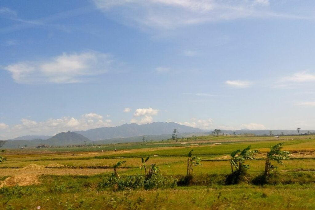 Tegal dan Pemalang, 2 Saudara Ngapak yang Beda Nasib