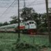 Sudah Saatnya Jalur Kereta Api Purwokerto-Wonosobo Diaktifkan Kembali