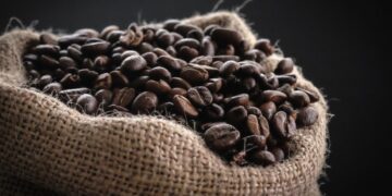 Kopi Akan Segera Punah dan Penyebabnya Adalah Kita Sendiri!