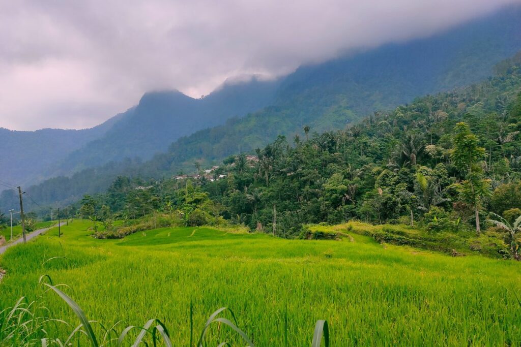 Tak Melulu Soal Batik, Pekalongan Harusnya Juga Bangga Memiliki Hutan Hujan Tropis Petungkriyono yang Menakjubkan