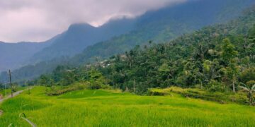 Tak Melulu Soal Batik, Pekalongan Harusnya Juga Bangga Memiliki Hutan Hujan Tropis Petungkriyono yang Menakjubkan