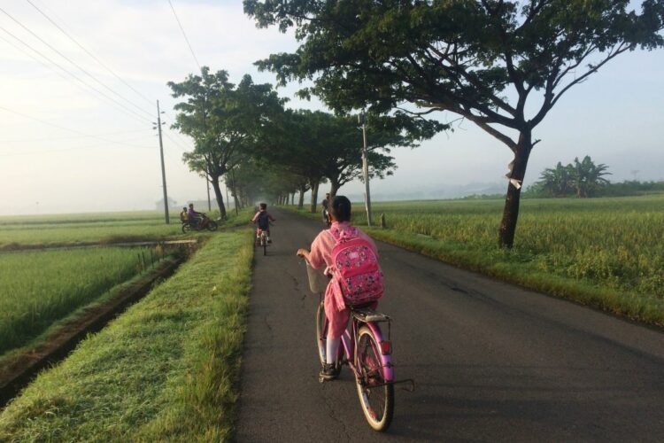 Kecamatan Srono Banyuwangi, Daerah Paling Toleran yang Dianaktirikan Pemkab Banyuwangi Mojok.co