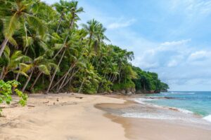 Cara Naik Bus DAMRI ke Pantai Malang Selatan, Plesir Nggak Pernah Semudah Ini