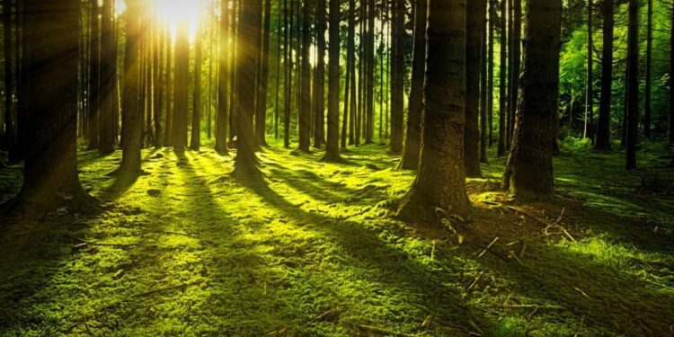 Indahnya Menetap di Ciomas, Kecamatan di Kabupaten Bogor yang Lokasinya Strategis