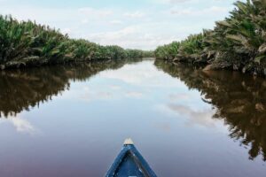 Biaya Hidup di Kalimantan Timur Begitu Mahal bagi Perantau Jawa