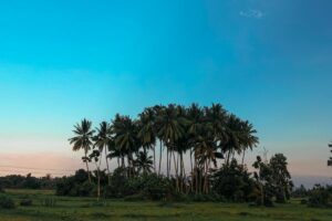 Membayangkan Rasanya Jadi Mahasiswa KKN di Kampung Durian Runtuh “Upin dan Ipin”