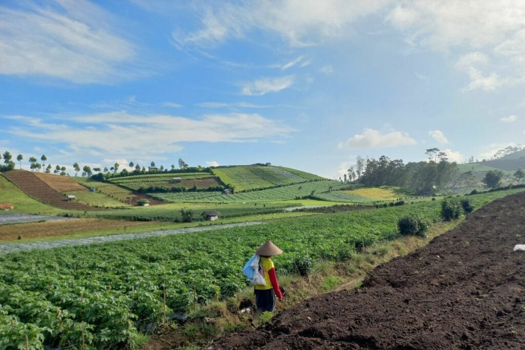 3 Daerah yang Sering Disalahpahami sebagai Tempat Wisata Bumiayu (Mojok.co)