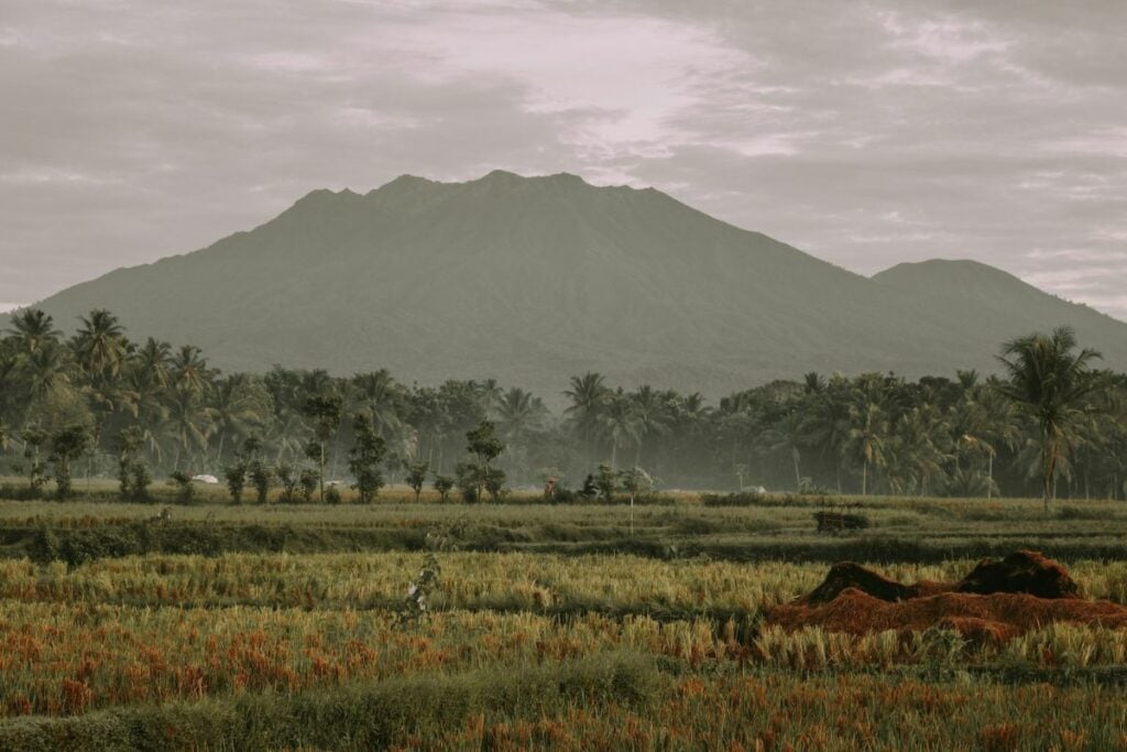 Banyuwangi Seharusnya Masuk dalam Daftar Tempat Pensiun Paling Enak Mojok.co