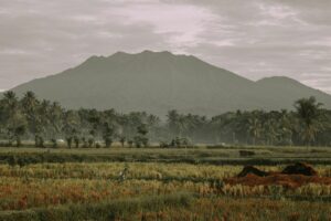 Sudah Saatnya Banyuwangi Pindah Ibu Kota, agar Pembangunan Kota Ini Merata dan Tidak di Situ-situ Aja