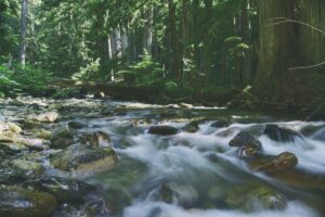 Kali Bangkong Adalah Surga Ciblon di Payaman Magelang, Bukan Waterboom Kalibening