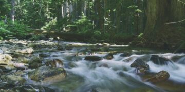 Kali Bangkong Adalah Surga Ciblon di Payaman Magelang, Bukan Waterboom Kalibening Mojok.co