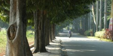 Cikarang Semakin Merana, Kalah Segalanya dari Kota Bekasi (Unsplash)