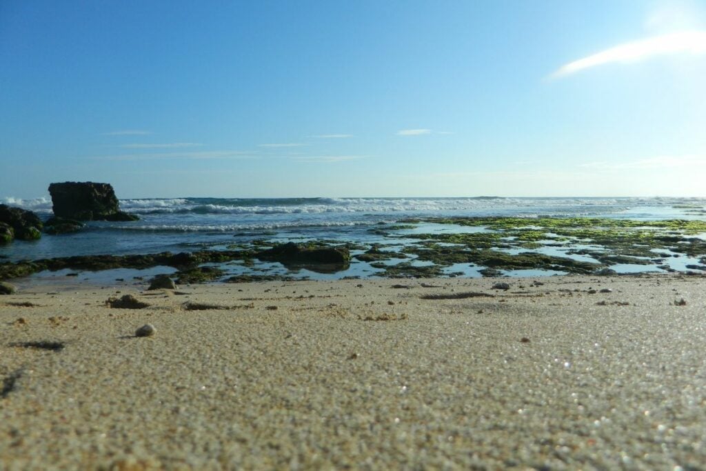 Bukit JLS Pantai Sine Tulungagung, Tempat Berkumpulnya Manusia Taruhan Nyawa demi Konten Media Sosial