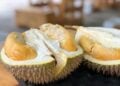 Orang yang Mengaku Nggak Suka Durian, Sebetulnya Belum Menemukan Rasa Durian yang Pas