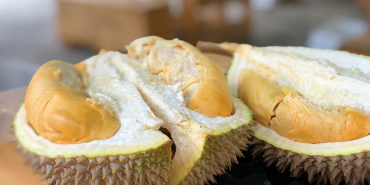 Orang yang Mengaku Nggak Suka Durian, Sebetulnya Belum Menemukan Rasa Durian yang Pas