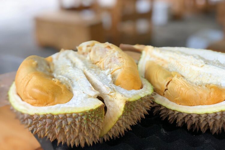 Orang yang Mengaku Nggak Suka Durian, Sebetulnya Belum Menemukan Rasa Durian yang Pas