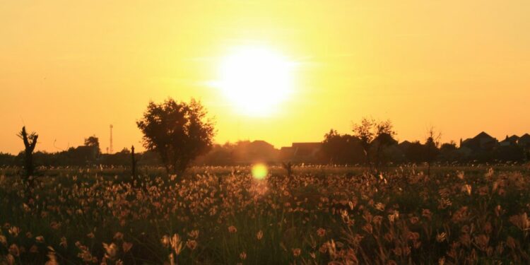 Orang Waru Sidoarjo Lebih Suka Disebut Orang Surabaya daripada Orang Sidoarjo