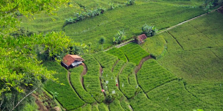 Cadas Pangeran Sumedang Jalur Cantik, sekaligus Mengerikan (Unsplash)