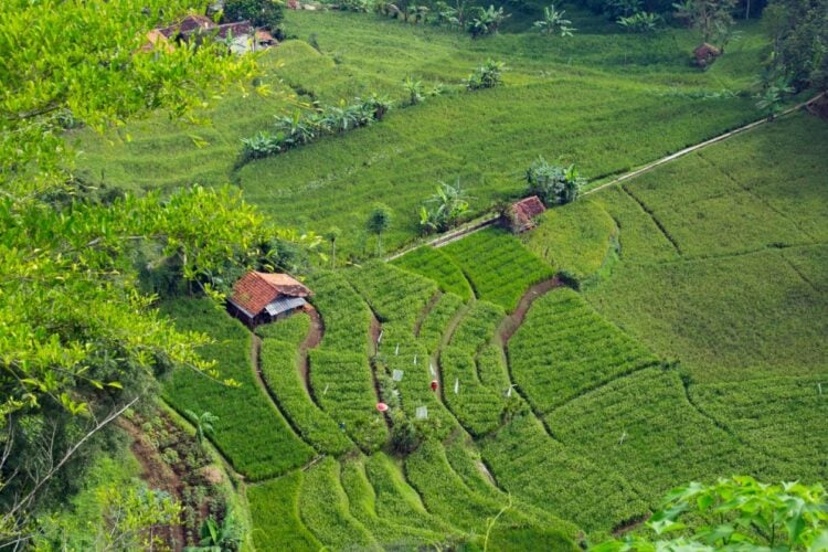 Cadas Pangeran Sumedang Jalur Cantik, sekaligus Mengerikan (Unsplash)